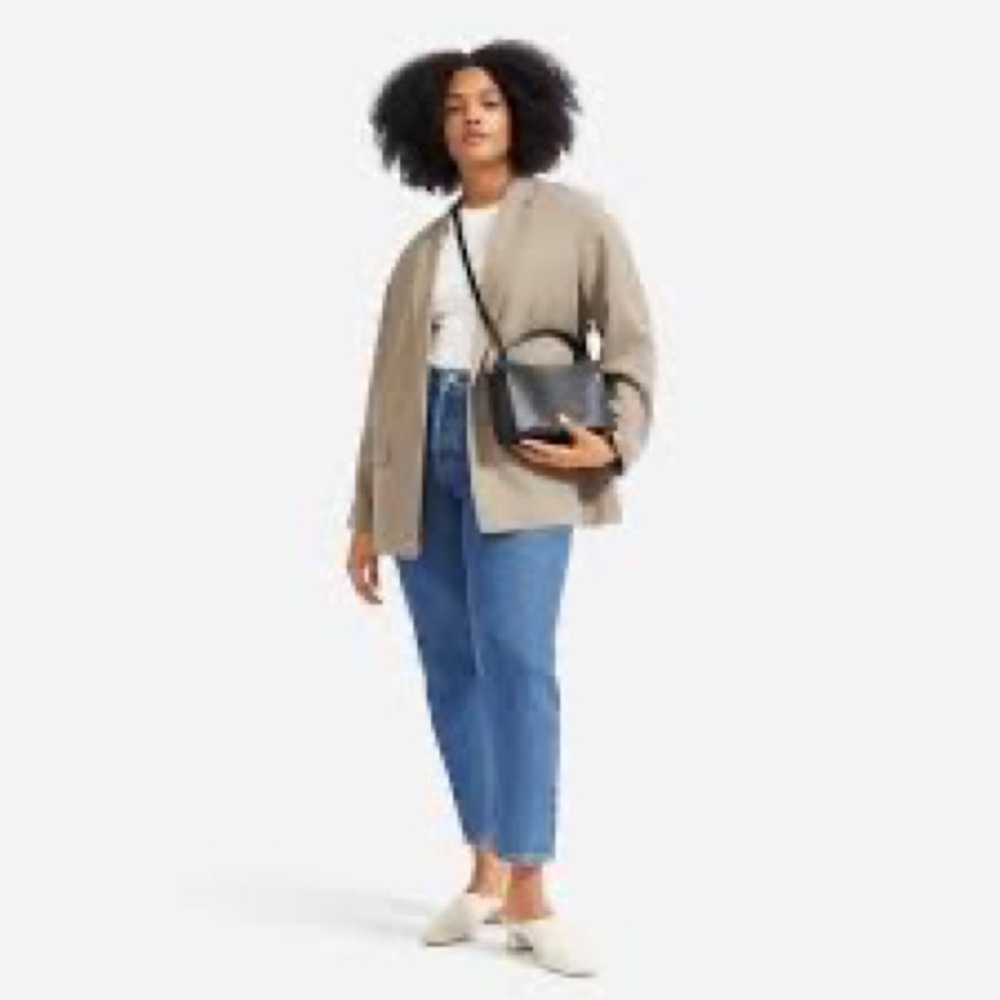 Everlane Lunchbox Bag with storage bag